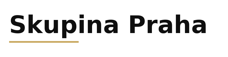 Skupina Praha logo